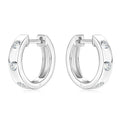 Wholesale Bulk Women Moissanite Jewelry 925 Silver Forever 2.5mm Moissanite Diamond Huggie Hoop Earrings for Men Women